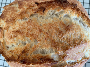 A close up image of the top of a sourdough loaf on which you can see all the gluten strands stretching across the top