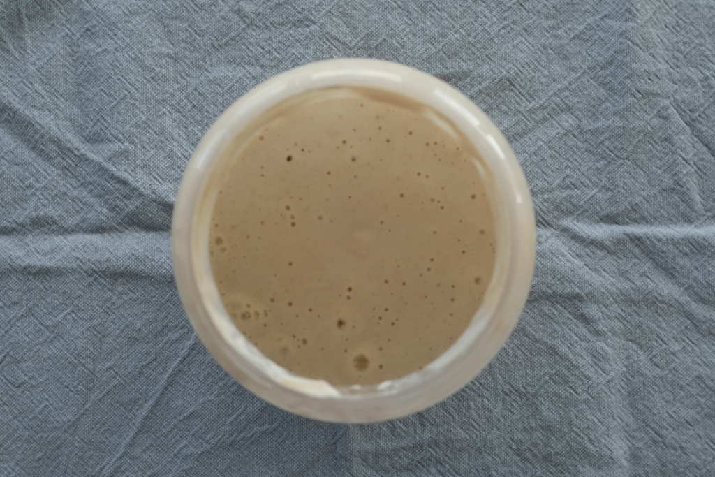 A photograph of a starter that is bubbling nicely, with air bubbles clearly visible at the top.