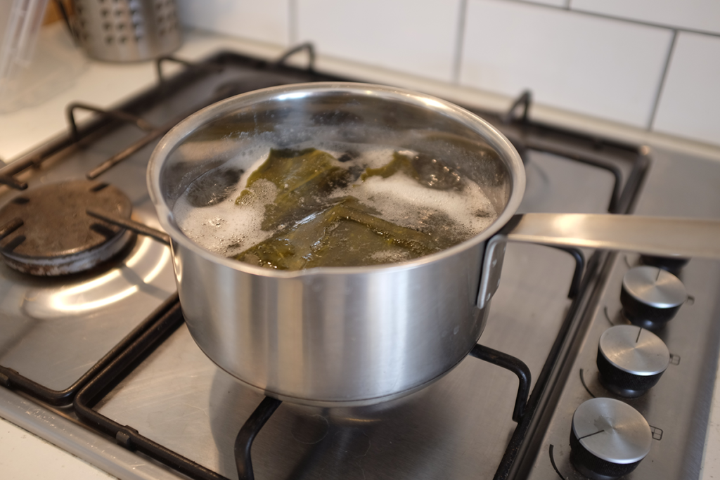 Kombu seaweed simmering on the stove.