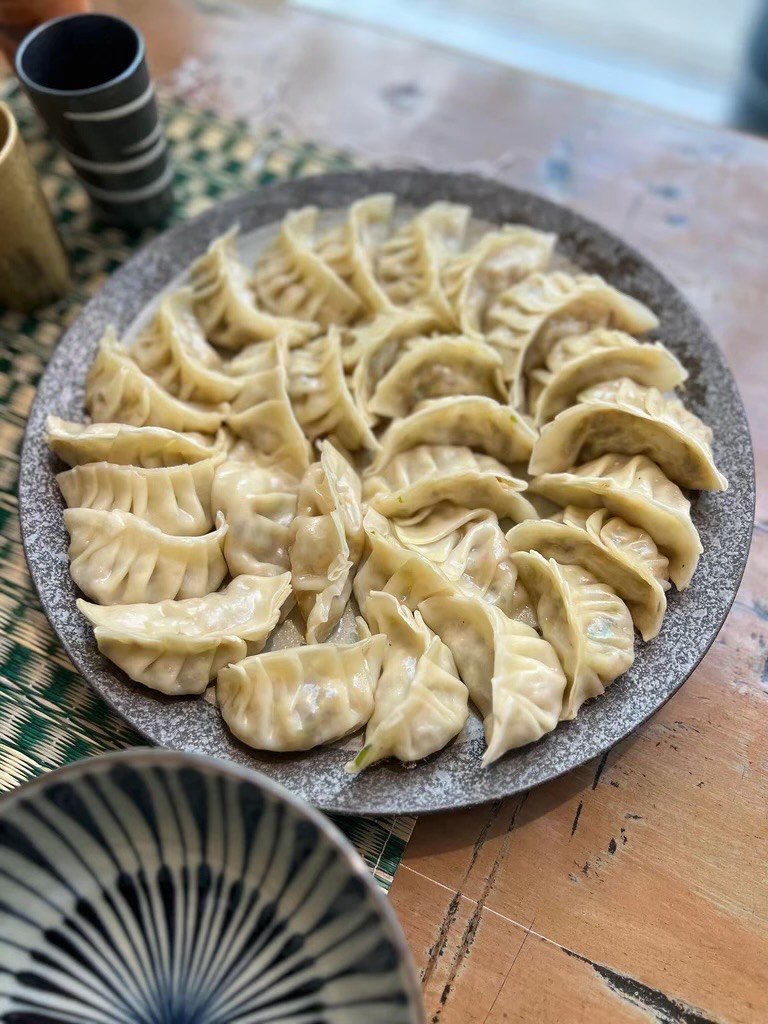 A plate of perfect dumplings