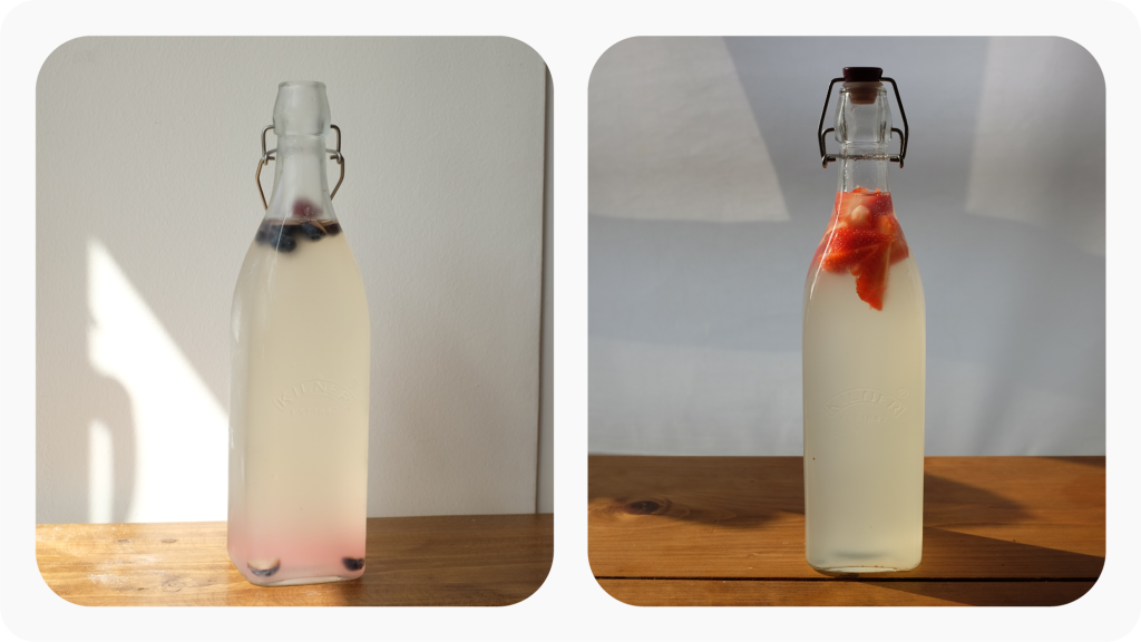 Two different bottles of water kefir, one fermenting with blueberries, the other with strawberries.