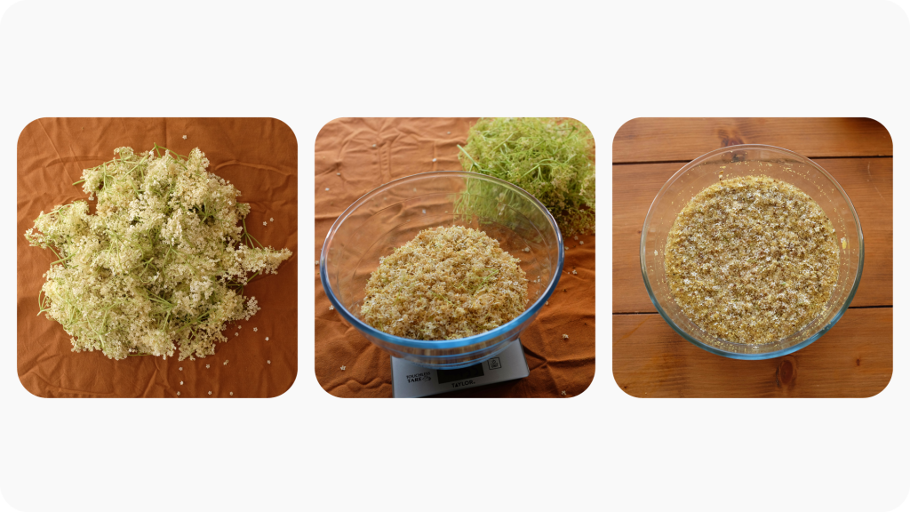 Three stages of elderflowers being soaked to extract flavour.